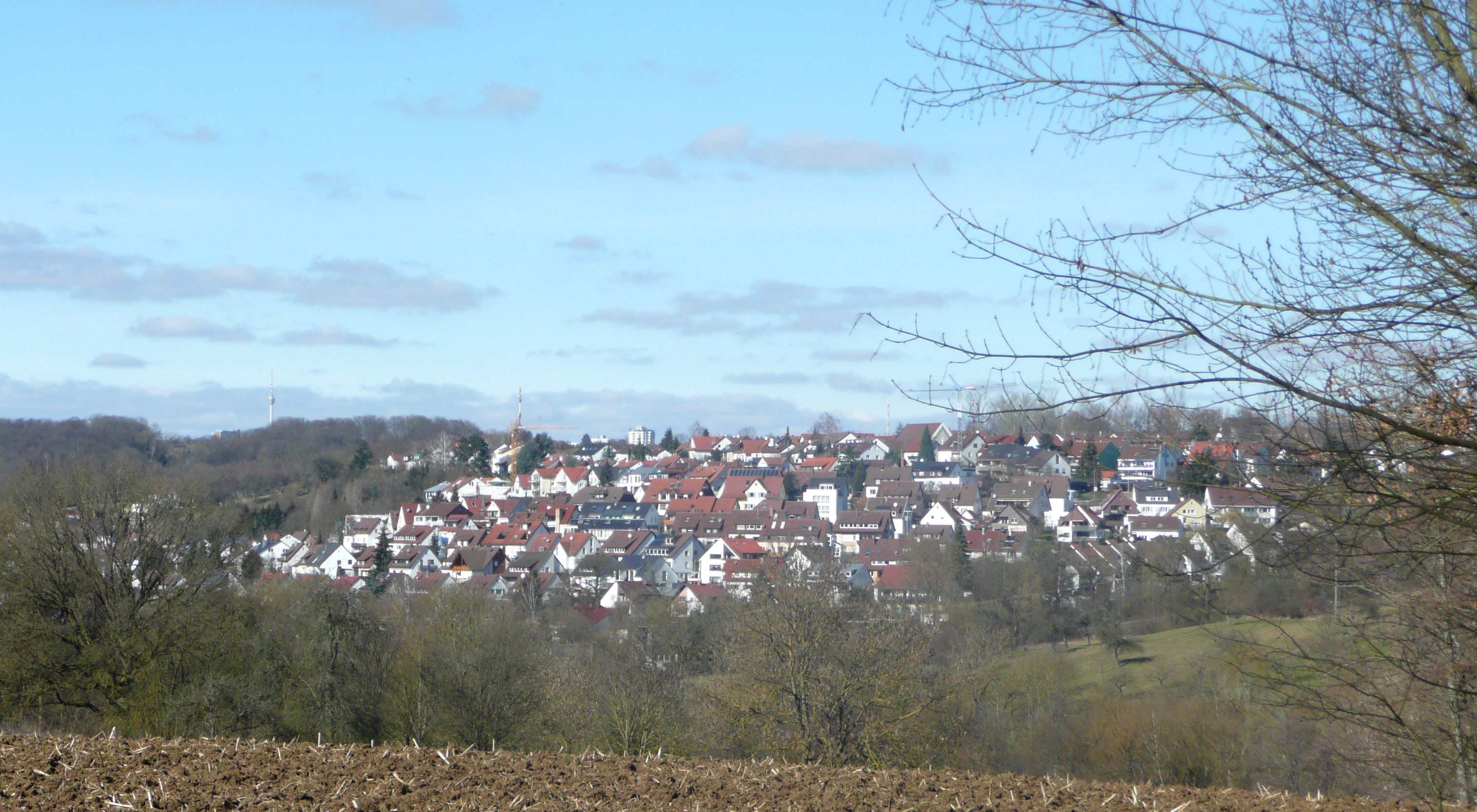 Scharnhausen mit Fernsehturm.jpg